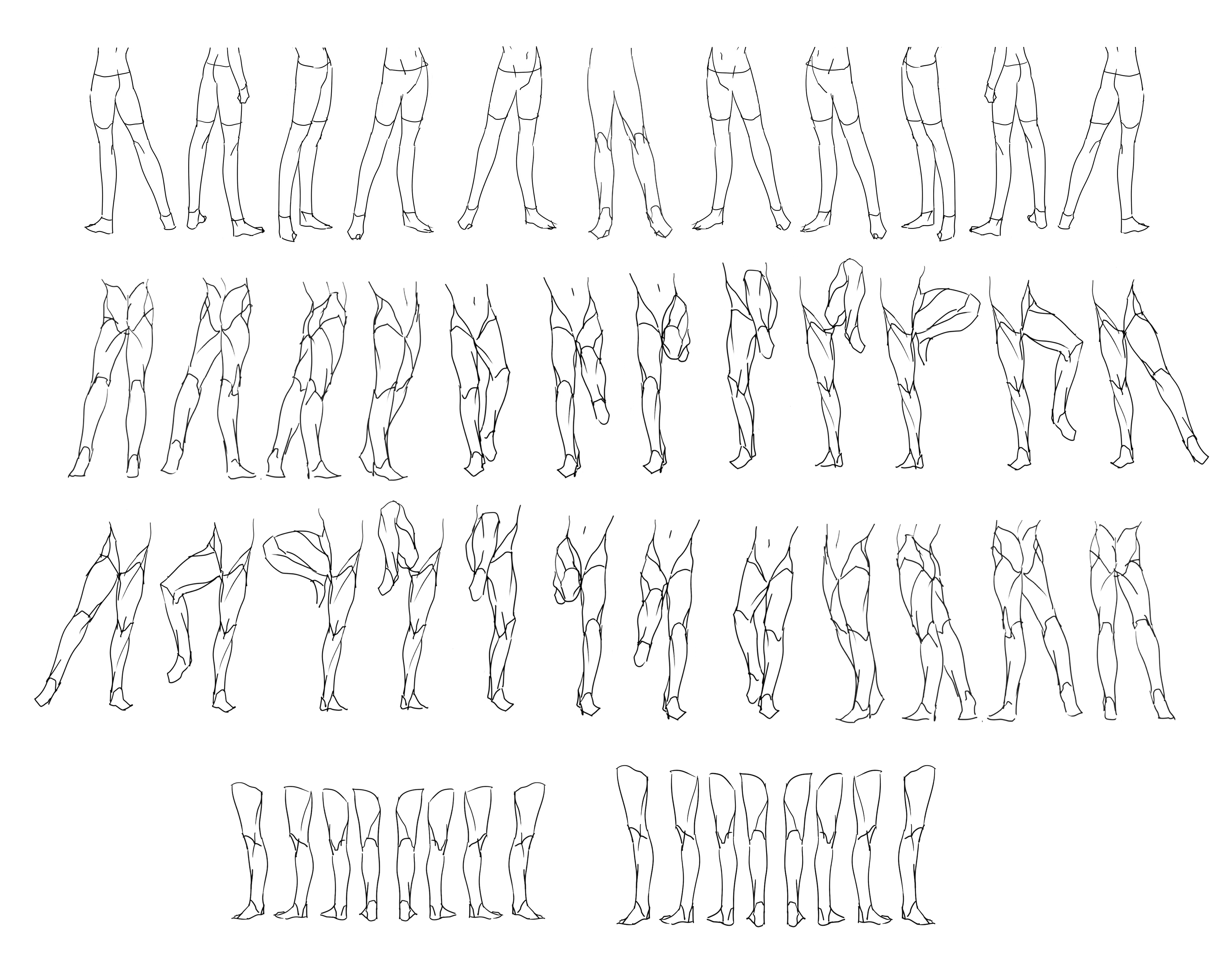 3933x3111 Legs (Part1) Reference Sheet Art Drawing Tips