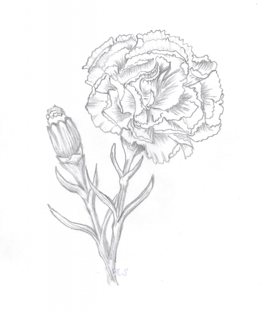 869x1024 Pencil Drawing Websites