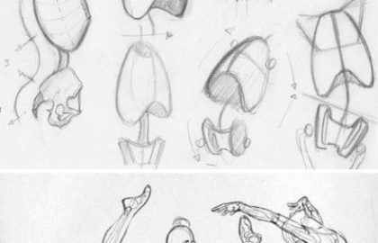 420x270 Anatomy Websites