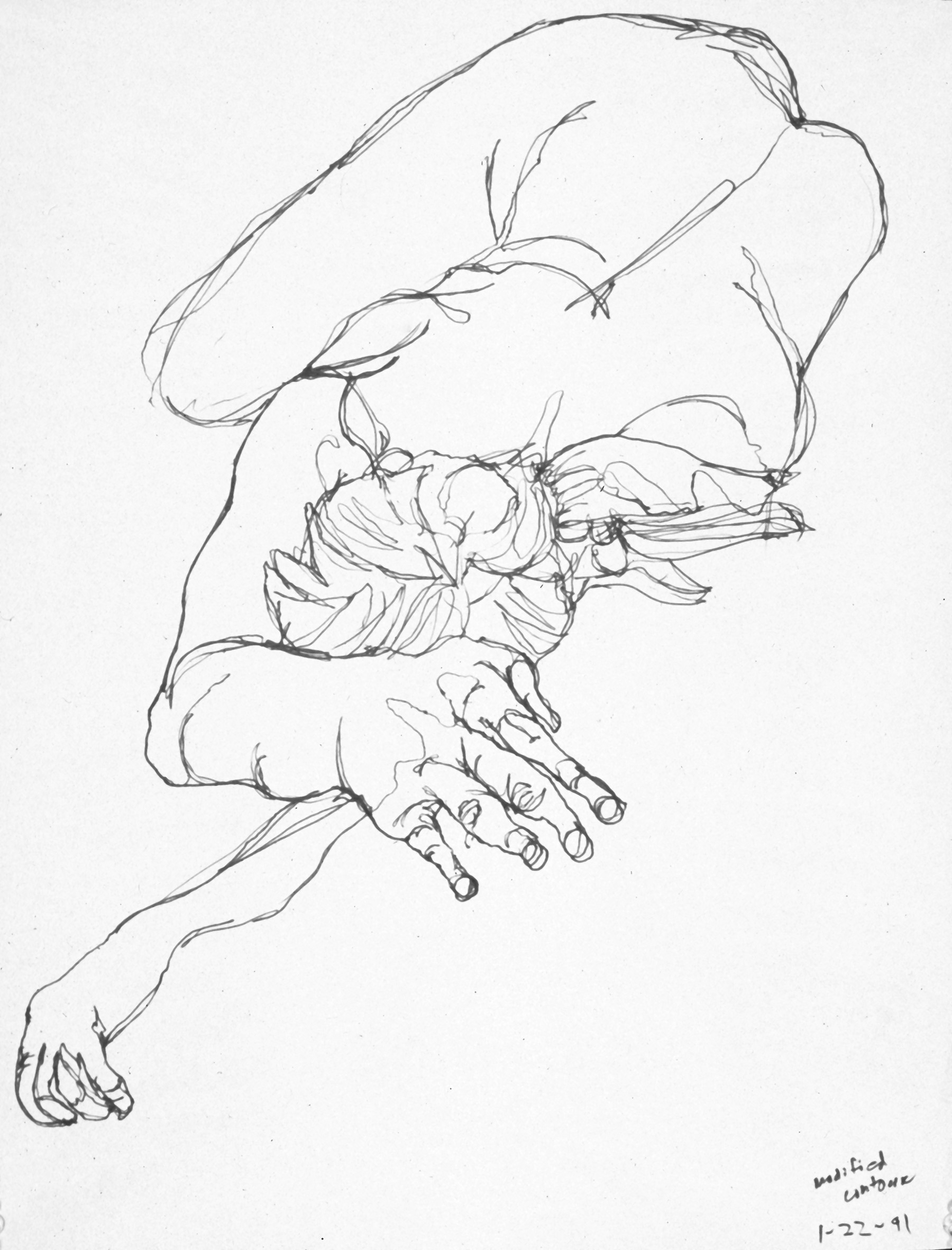 1800x2363 Modified Contour Figure