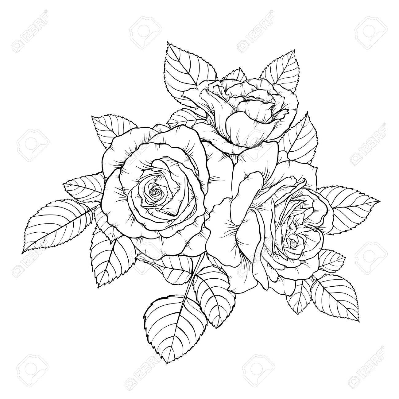 1300x1300 Beautiful Monochrome Black And White Bouquet Rose Isolated