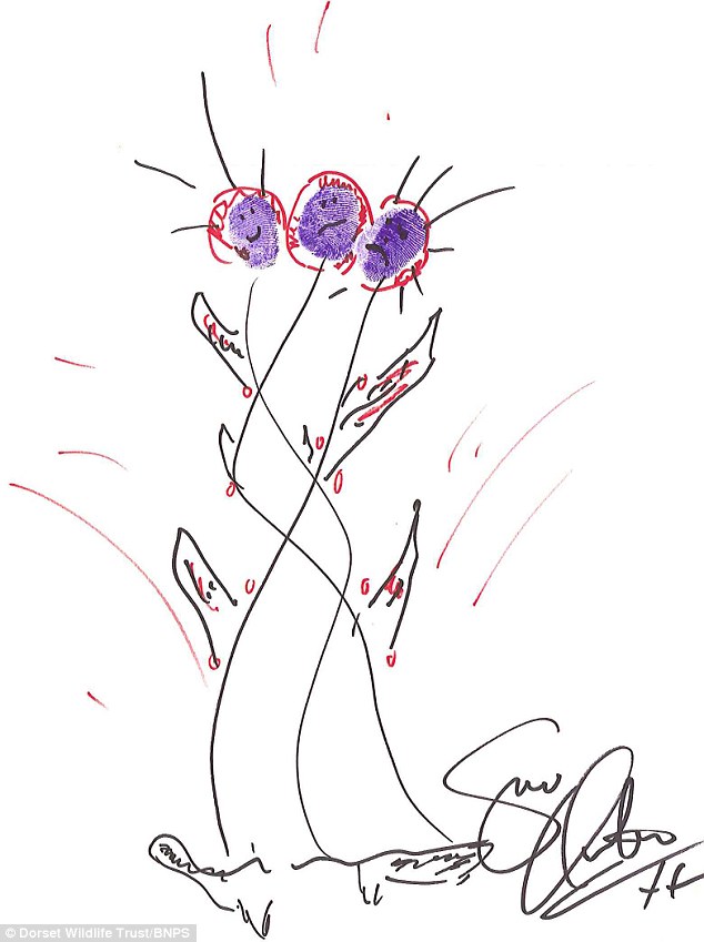 634x849 David Cameron's Sheep And Fearne Cotton's Fox Among Host