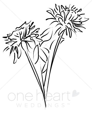 317x388 Mums Flowers Clipart Elegant Wedding Flower Sketches