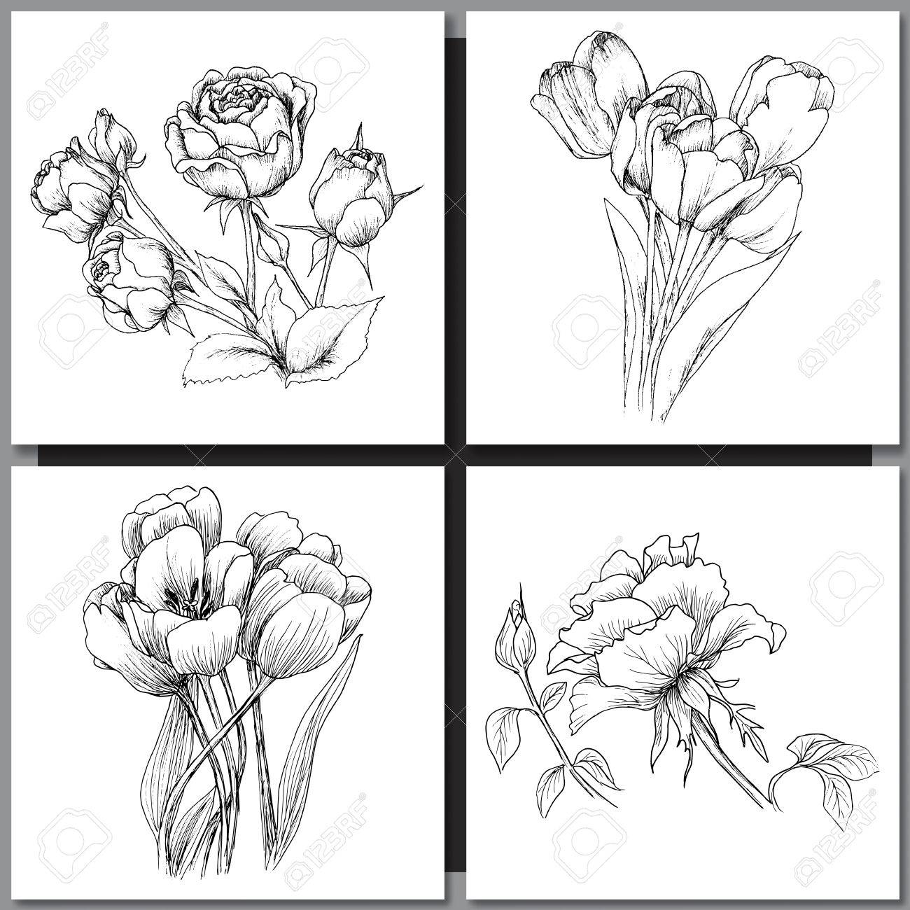 1300x1300 Set Of Romantic Vector Background With Hand Drawn Flowers Isolated
