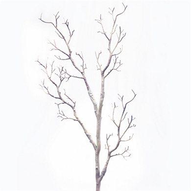 390x390 Manzanita Trees And Individual Branches For Wedding Centerpieces