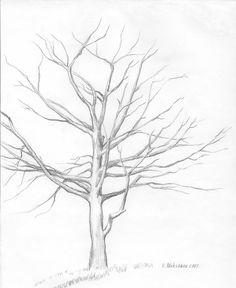 236x288 Pencil Sketch Marine