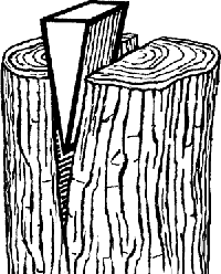 200x248 Soft Question