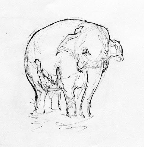 478x490 Matt's Art Blog Wednesday Zoo Drawings