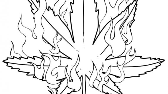 570x320 Cool Pics To Draw How To Draw A Pot Leaf Step Step Tattoos Pop