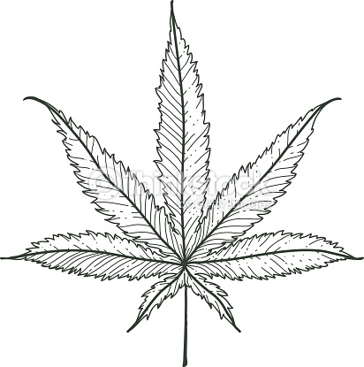 412x415 Drawn Cannabis Leaf Vector