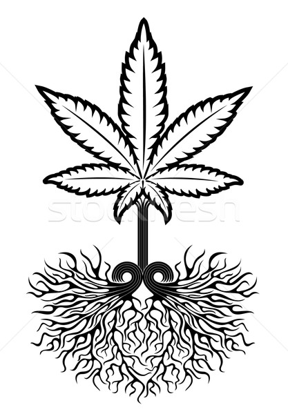 417x600 Marijuana Leaf And Growing Roots Vector Illustration Zuzana
