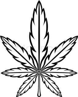 255x320 The Green Hemp, Cannabis Leaf Background Texture Stock Vector