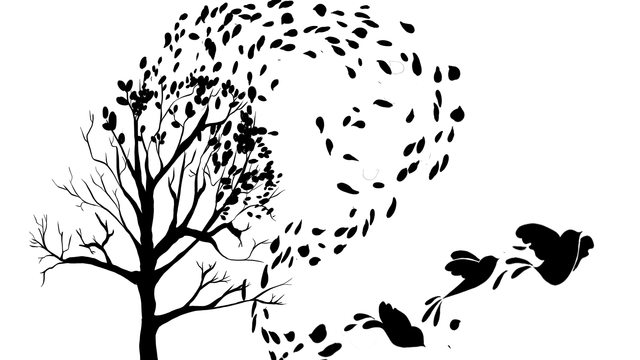 640x360 South Central, Tumblr