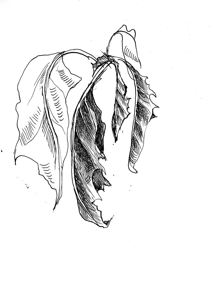 801x1111 Tumblr O3jjl2f07d1qa0ld7o6 R1