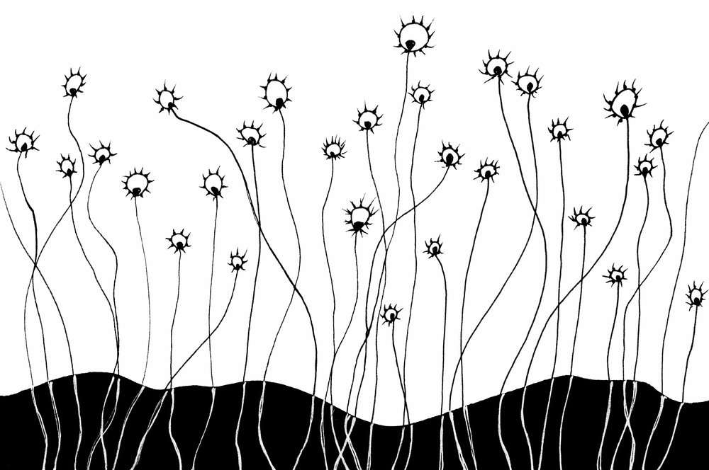 1000x664 Drawings Bampw Laura Didyk