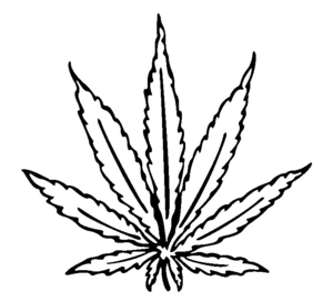 300x271 Cannabis Leaf Drawing I Image Weed Leaf Drawing