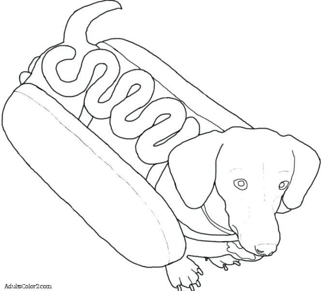 678x600 Dogs Coloring Page Dachshund Coloring Pages Dachshund Dog Dog