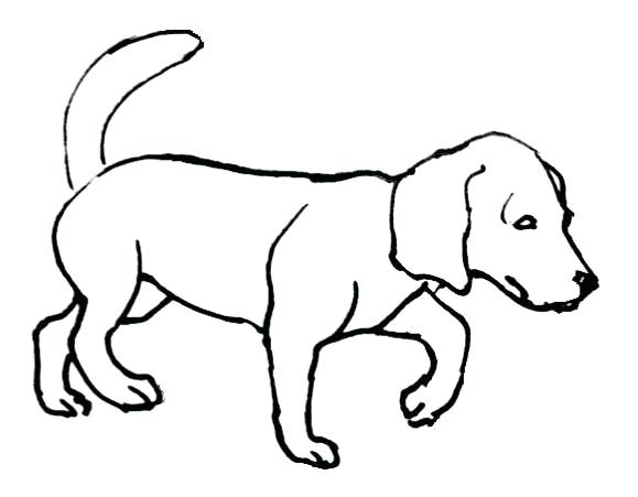579x451 Dogs Coloring Pages Dachshund Coloring Pages Dachshund Dog Dog