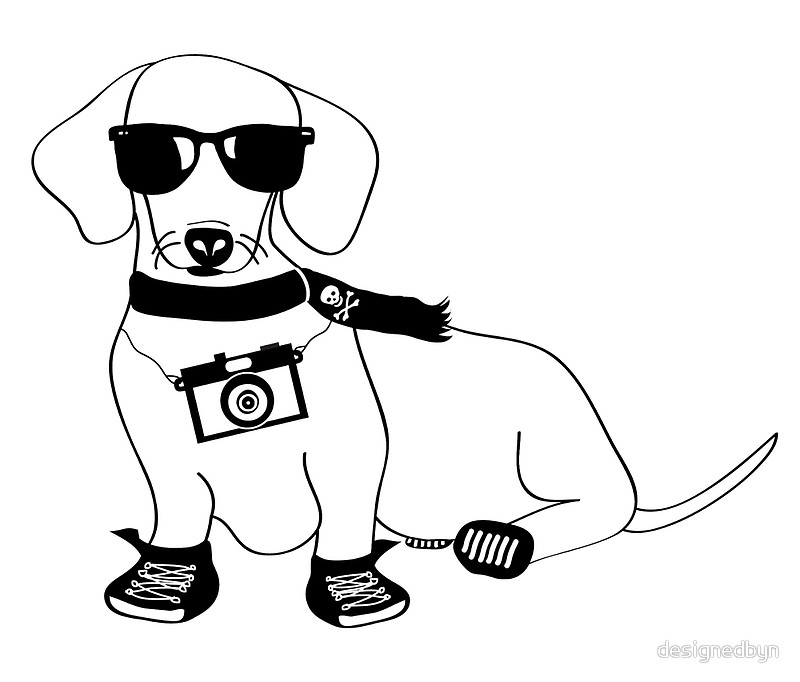 800x682 Hipster Dachshund