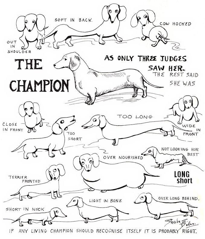 679x791 The Long And Short Of It All A Dachshund Dog News Magazine