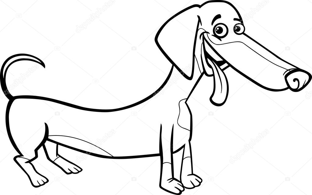1024x642 Dachshund Dog Cartoon For Coloring Book Stock Vector Izakowski
