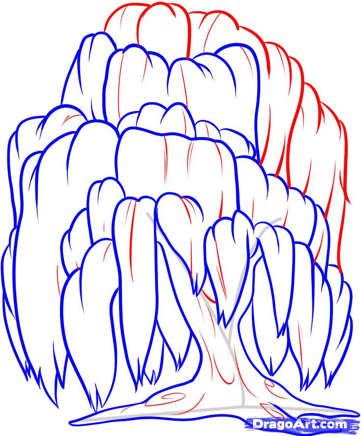 734x887 How To Draw A Willow Tree, Weeping Willow, Step By Step, Trees