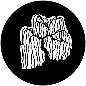 300x300 Trees Weeping Willow Apollo Gobo 3535
