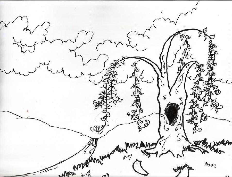 900x689 Weeping Willow Drawing By Barbara Gallagher