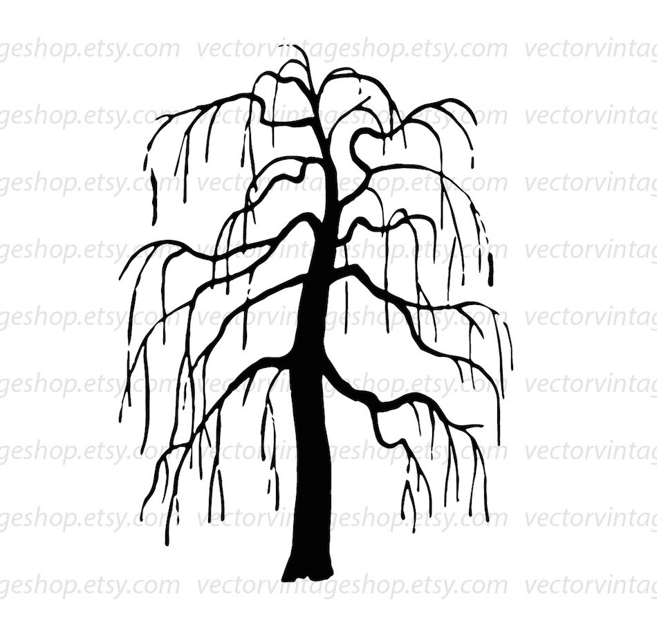 950x924 Weeping Willow Tree Vector Clipart, Bare Tree Silhouette Clip Art