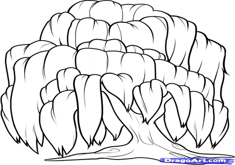 476x333 Willow Tree Coloring Easy Flower Pages Kids Pictures