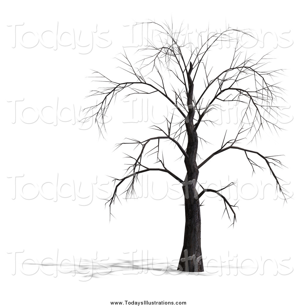1024x1044 Clipart Of A 3d Bare Tree By Ralf61