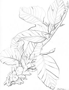 236x306 Ms Lessons From Hs Blog Elements And Principles