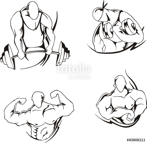 500x489 Weight Lifting And Bodybuilding Stock Image And Royalty Free