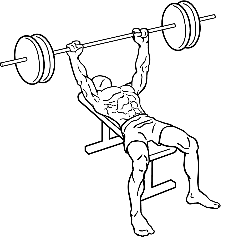 867x900 Bench Press Exercise