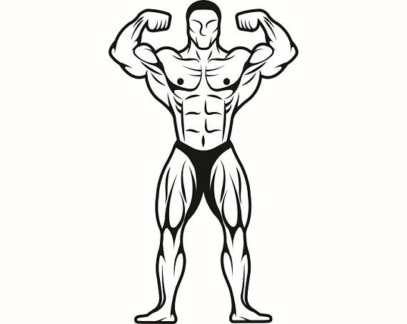 570x454 Bodybuilder