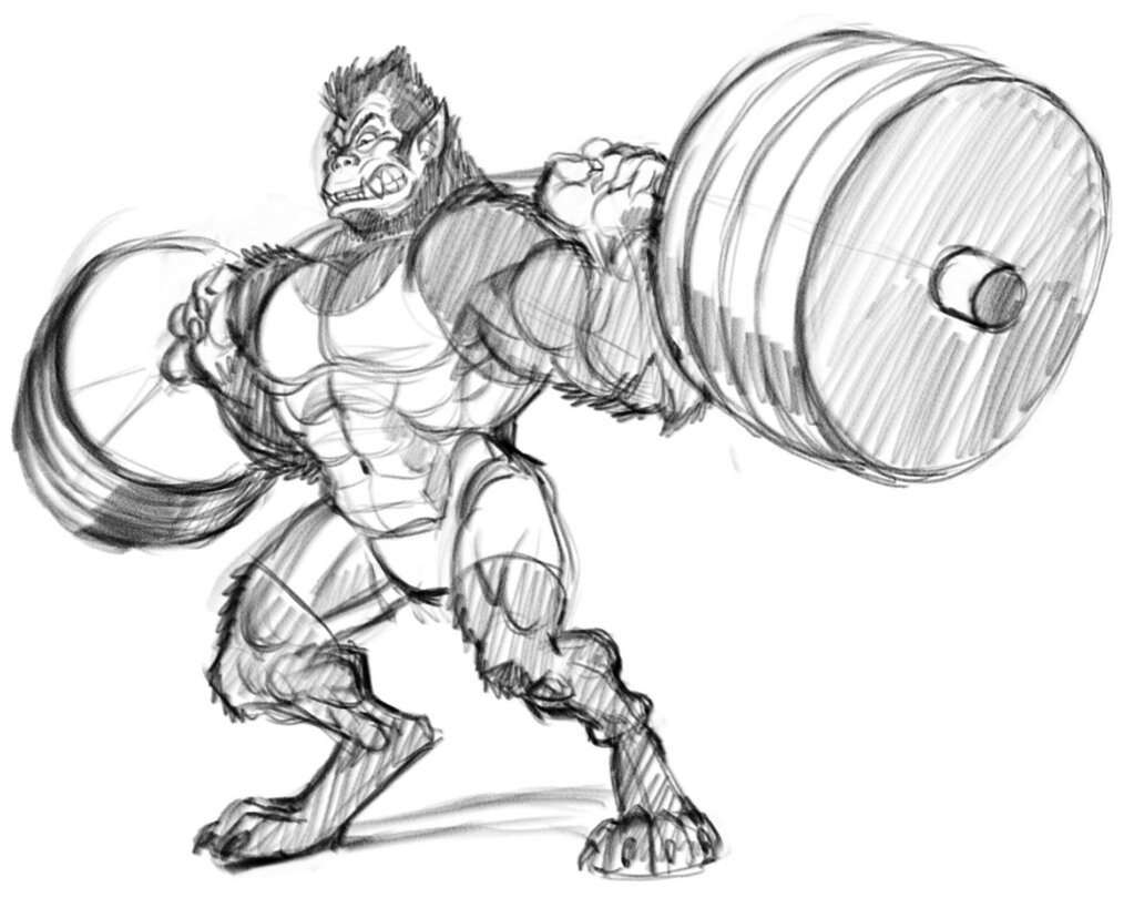 1023x819 Weightlifting