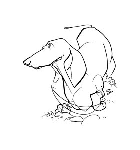 280x300 Dachshund Drawings Fine Art America