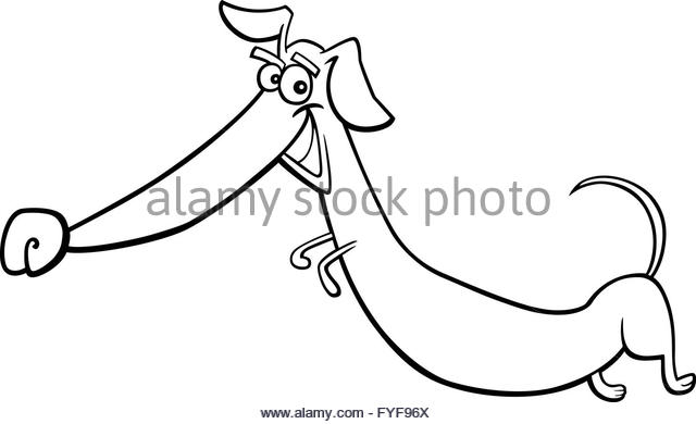 640x390 Sausage Dog Black And White Stock Photos Amp Images