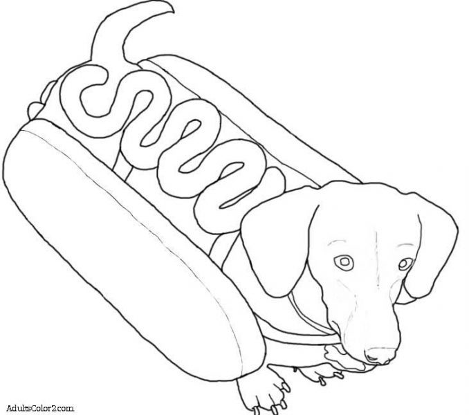 678x600 Dachshund Coloring Page Coloring Page For Kids