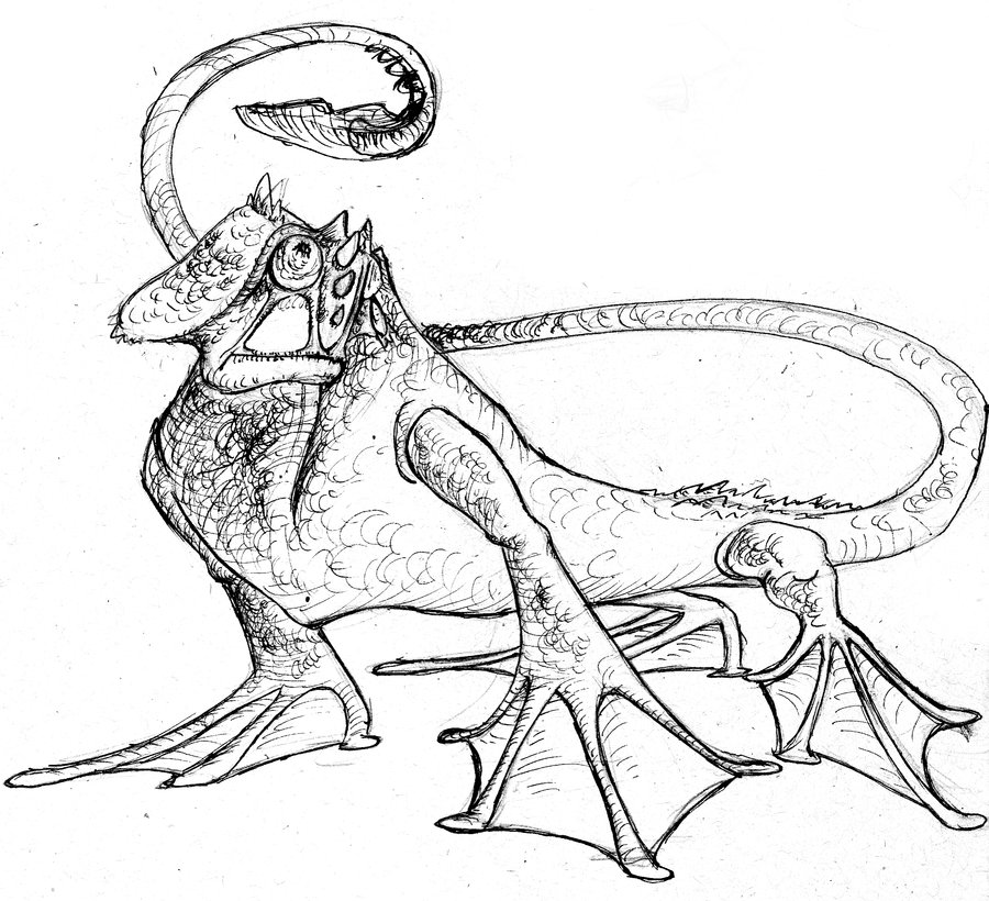 900x820 Lizard Sketch By Weirde