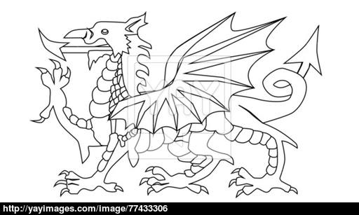 512x307 Welsh Dragon Outline Vector
