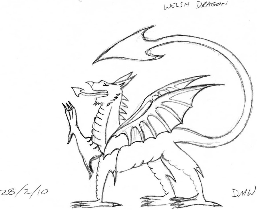 900x735 Welsh Dragon Its Old Drawing By Cross Wolf