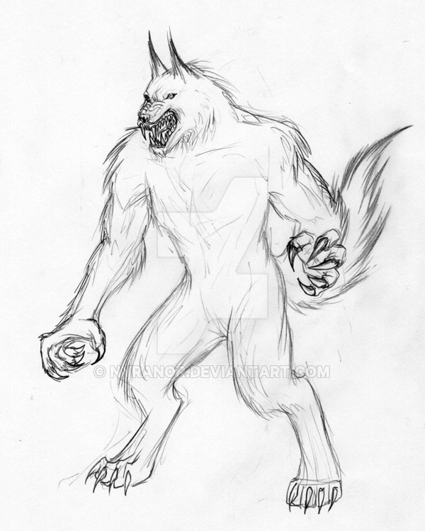 600x750 Werewolf 4 By Nyranor