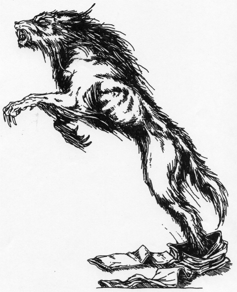 806x992 Werewolf In Hispo Form By Stonegate