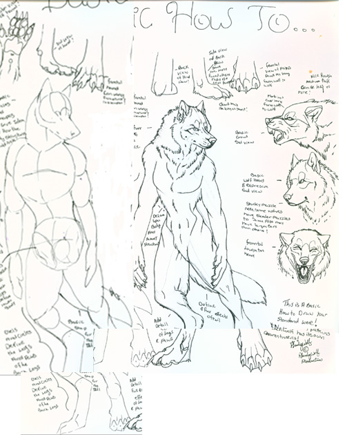 500x630 How To Draw Werewolves By Pladywolf