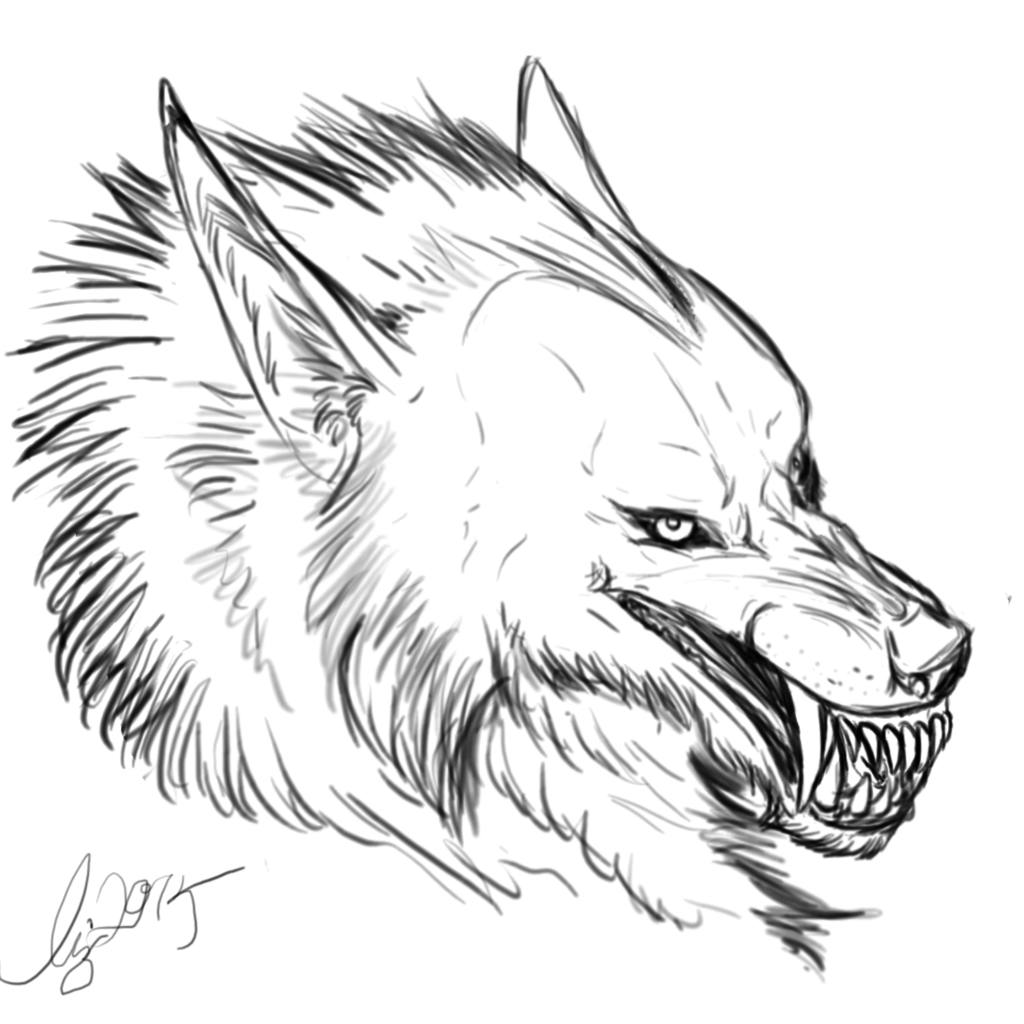 Werewolf Face Drawing at GetDrawings | Free download