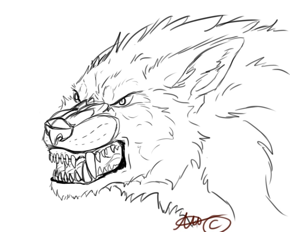 Werewolf Face Drawing at GetDrawings | Free download