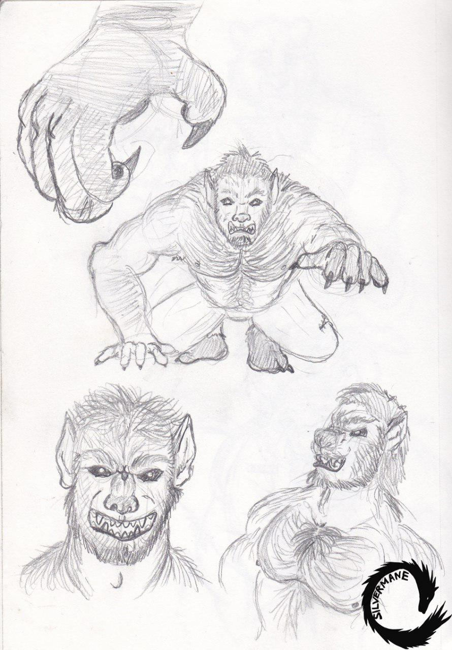 890x1280 Sketches Werewolf Transformations Weasyl