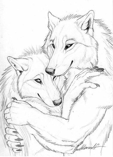 378x527 Werewolf Couple Drawing Lycanthrope Werewolves