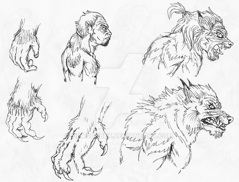 799x609 Werewolf Head And Hand Tf By Dragonbex